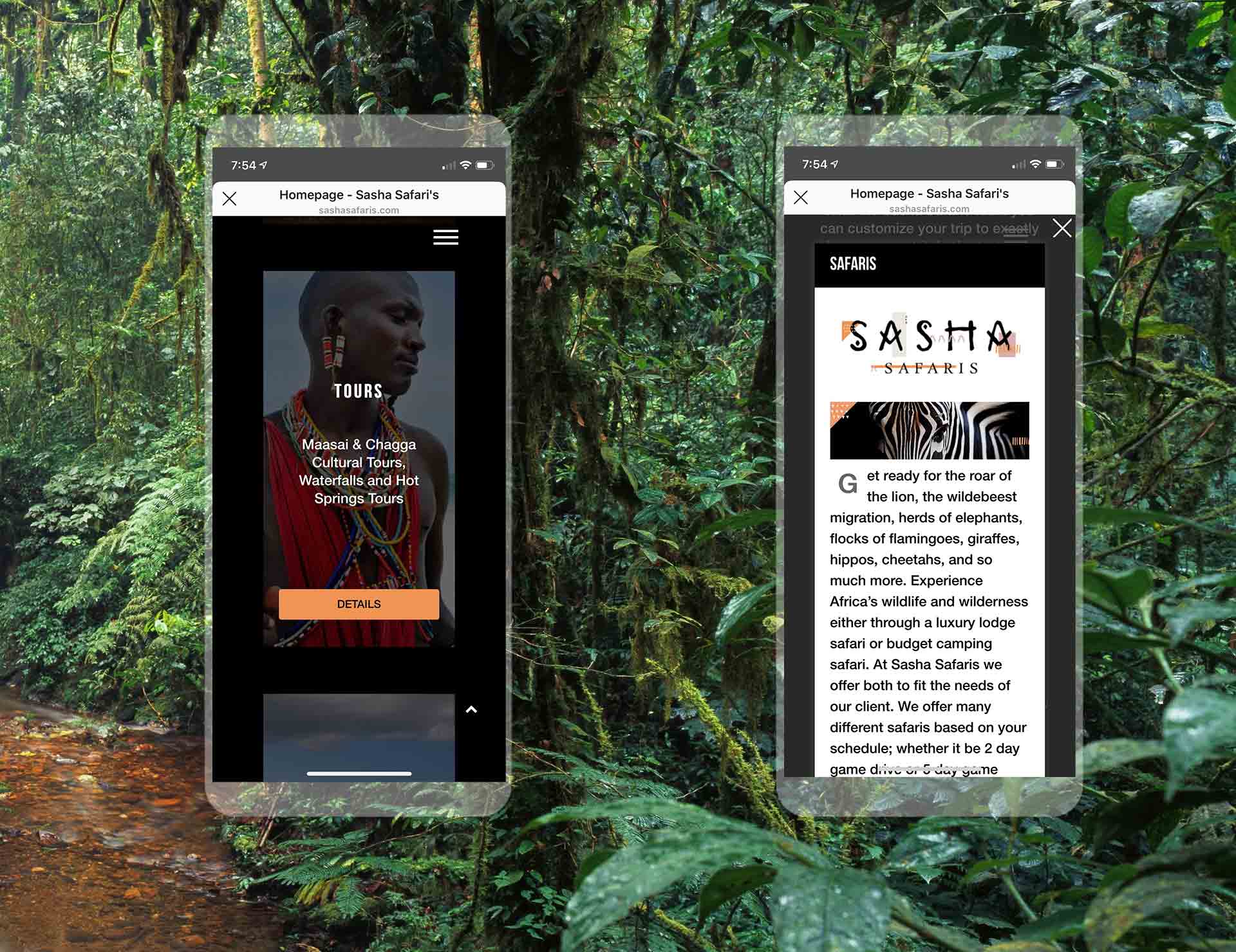 sasha safari mobile design