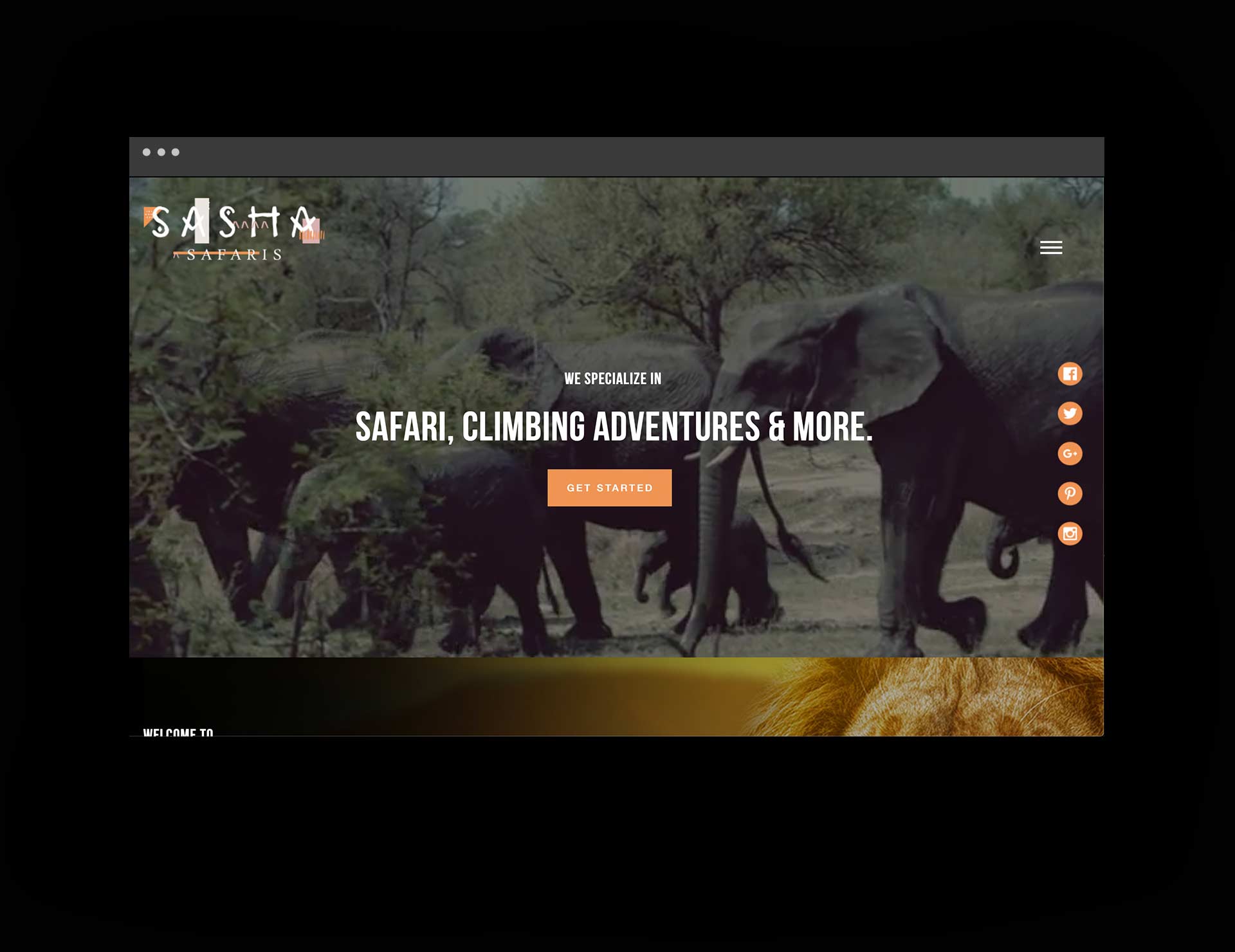 Sasha Safari web design layout