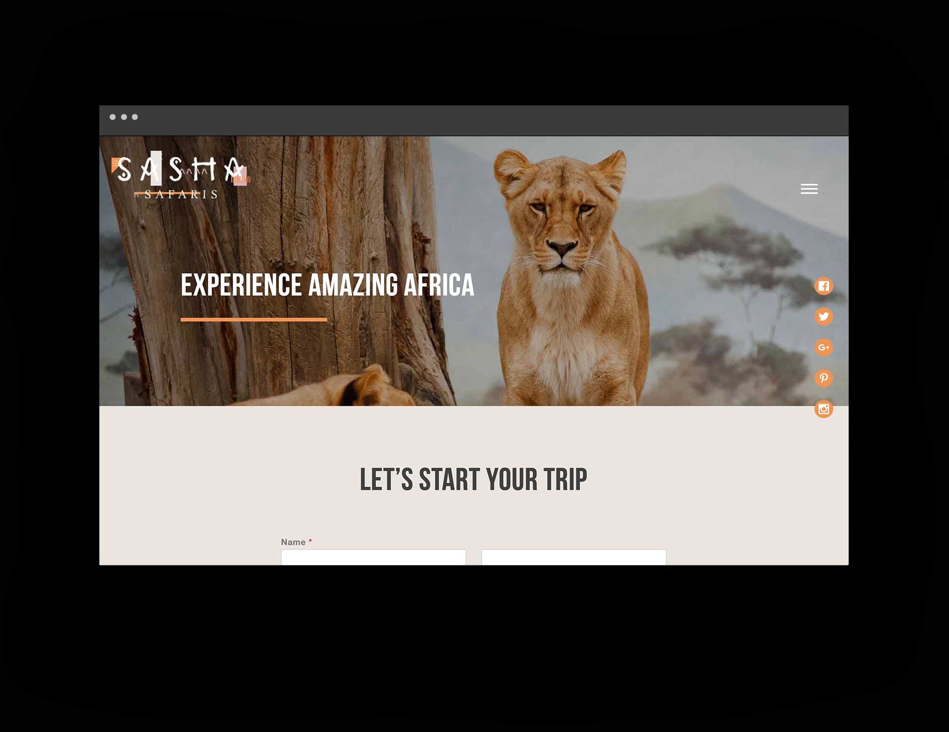 Sasha Safari web design layout 3